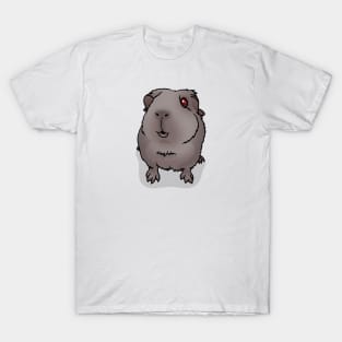 Slate Grey Guinea Pig T-Shirt